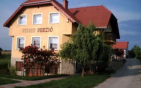 Vivien Panzio Zalaegerszeg